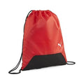 PUMA teamGOAL Gym Sack